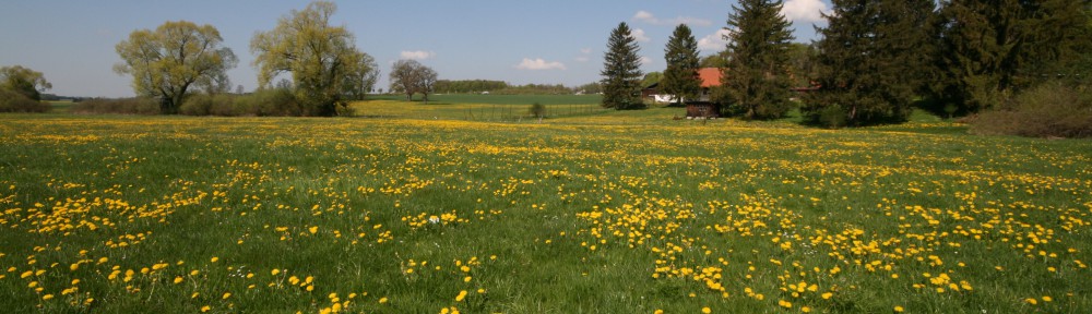 Rettet den Schmalzhof